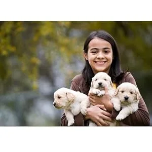 Breeder's Edge Foster Care Feline- Powdered Milk Replacer- for Kittens & Cats- 20 lbs - ergeg