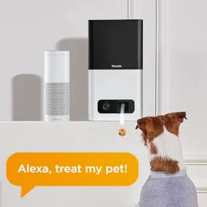 2017 Item  Petcube Bites Pet Camera with Treat Dispenser Matte Silver - alexa