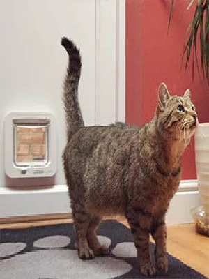 SureFlap - Sure Petcare Microchip Cat Flap, White, Scans Pet's ID on Entry, Check Your Cat's Size,Flap Opening is 4 3/4 (H) by 5 5/8 (W) - product information 2