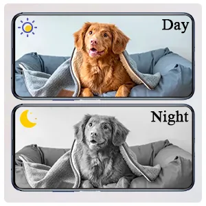 Automatic Cat Feeders 6L Smart Dog Feeder,Timer Voice and Video Recording HD 1080P Camera Night Vision WiFi Enabled App for iPhone and Android Yakry C2 - automatic feeder with camera