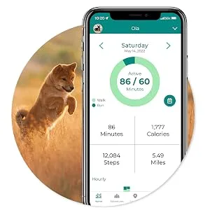 Link GPS Dog Tracker + Activity Monitor | Training Tools, Health Tracker, Waterproof, Flashlight, Lightweight, PetPass & Vet Record Storage, Fits On Most Collars | iPhone & Android Apps - fi series 2 gps tracker smart dog collar dog collar gps tracking device fi gps dog collar fi dog