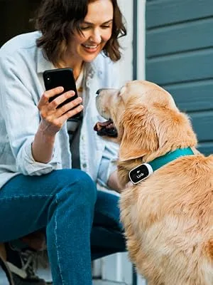Link GPS Dog Tracker + Activity Monitor | Training Tools, Health Tracker, Waterproof, Flashlight, Lightweight, PetPass & Vet Record Storage, Fits On Most Collars | iPhone & Android Apps - flea and tick prevention for dogs pet supplies airtags 4 pack light dog tag led light dog accessorie