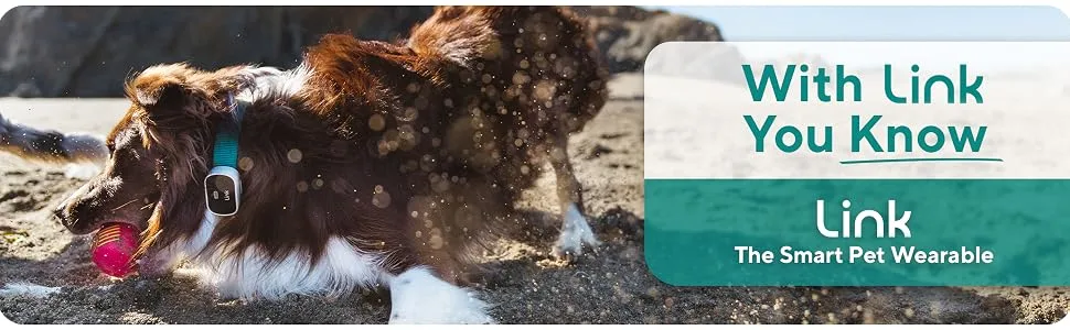 Link GPS Dog Tracker + Activity Monitor | Training Tools, Health Tracker, Waterproof, Flashlight, Lightweight, PetPass & Vet Record Storage, Fits On Most Collars | iPhone & Android Apps - The Smart Pet Wearable tracker collar for dogs gps pets tracker airbolt gps tracker for dogs dog gps