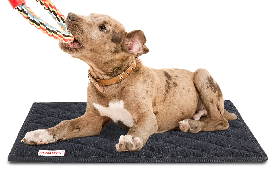 HOMBYS Chew Proof Dog Crate Pad 41 x 28 - product information 5