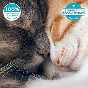 3 Diffusers Plus 6 Refills | Comfort Zone Multi-Cat Calming Diffuser Kit (Value Pack) for a Peaceful Home | Veterinarian Recommend | Stop Cat Fighting and Reduce Spraying & Other Problematic Behaviors - Vet Recommended