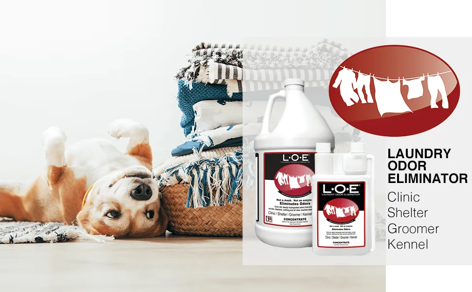 Odorcide Laundry Odor Eliminator Concentrate  Pet Odor Eliminator for Strong Odor  Pet Smell & Urine Odor Eliminator for Clothes  Laundry Odor Neutralizer w/ Safe, Non-Enzymatic Formula (128 oz) - Thornell Laundry Odor Eliminator