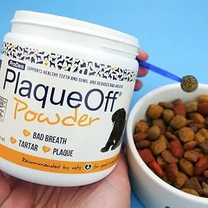 ProDen PlaqueOff Powder 420g - ProDen PlaqueOff Dental Care