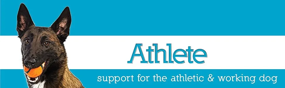 Herbsmith Athlete  Canine Endurance Supplement for Working and Agility Dogs  for The Canine Athlete 500g Powder - Athlete, Canine Endurance Supplement, For Working and Agility Dogs, For The Canine Athlete