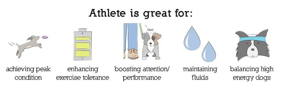 Herbsmith Athlete  Canine Endurance Supplement for Working and Agility Dogs  for The Canine Athlete 500g Powder - Athlete, Canine Endurance Supplement, For Working and Agility Dogs, For The Canine Athlete