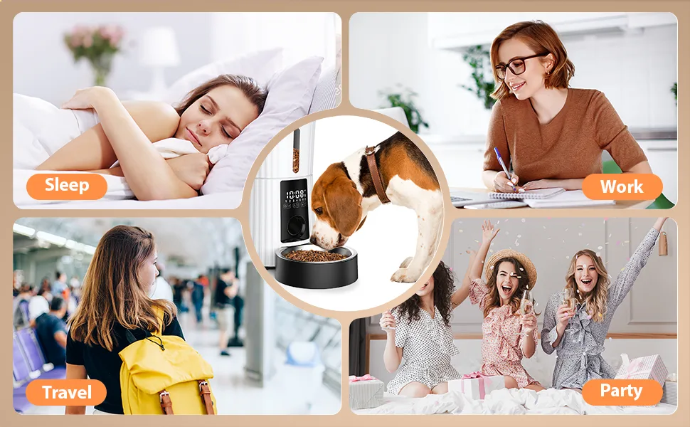 Petory Timed Automatic Cat Feeders - 4L Programable Dry Food Dispenser for Cats and Small Medium Dogs 6 Meals with Desiccant Bag Dual Power Supply 10S Voice Recorder White Regular Version - product information 10