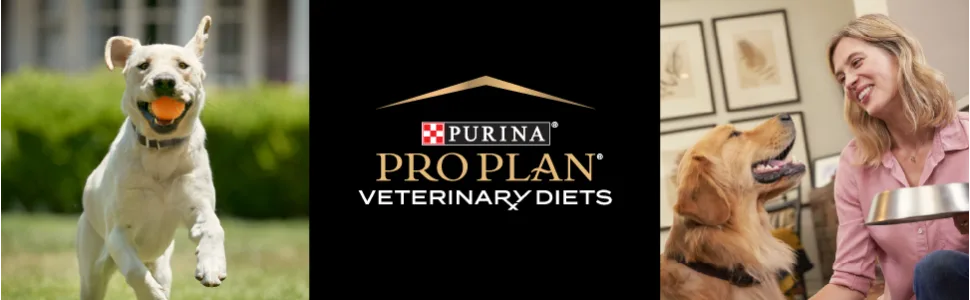 Purina Pro Plan Veterinary Diets NF Kidney Function Canine Formula Wet Dog Food 13.3 Ounce (Pack of 12) - Purina Tidy Cats Naturally Strong cat litter.
