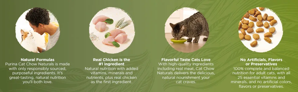 Purina Cat Chow Naturals Original With Real Chicken & Salmon Adult Dry Cat Food Chicken & Salmon 13 Pound (Pack of 1) - image