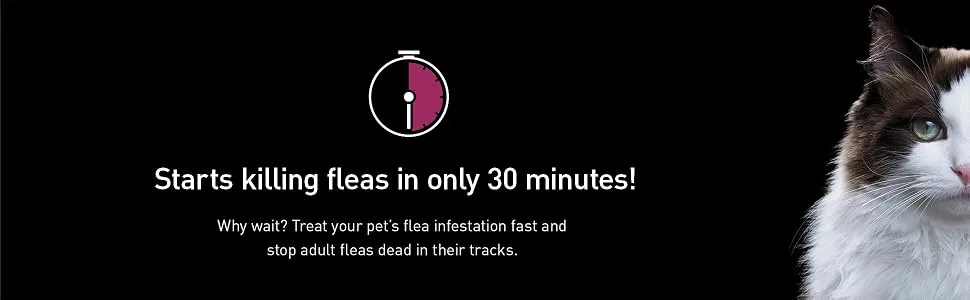 Capstar Flea Tablets for Cats 2-25 lbs. 12 CT - cat flea and tick treatment; cat flea drops
