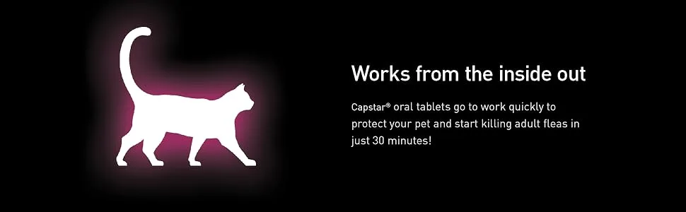 Capstar Flea Tablets for Cats 2-25 lbs. 12 CT - cat flea treatment; flea and tick treatment; capstar flea drops