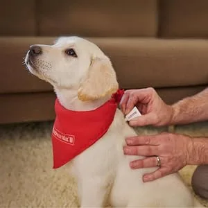 K9 Advantix II Flea and Tick Prevention for Extra-Large Dogs 6-Pack, Over 55 Pounds - How to apply K9 Advantix II