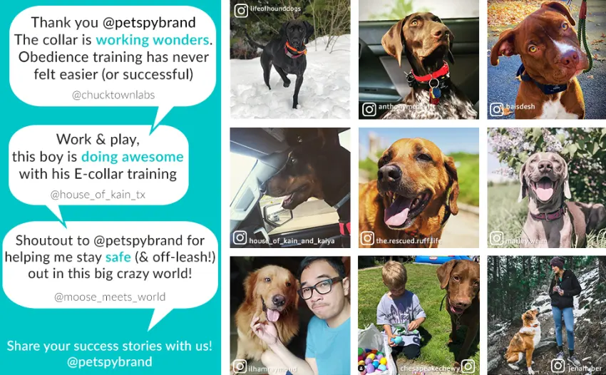 PetSpy P620 Dog Training Shock Collar for Dogs with Vibration, Electric Shock, Beep Rechargeable and Waterproof Remote Trainer E-Collar - 10-140 lbs - PetSpy happy customers from instagram