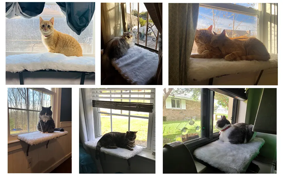 sweetgo Cat Window Perch-Mounted Shelf Bed for cat-Funny Sleep DIY Kitty Sill Window Perch- Washable Foam Cat Seat - product information 12
