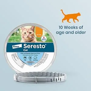Seresto Flea and Tick Collar for Cats, 8-Month Flea and Tick Collar for Cats 1-Pack Cat Only - seresto