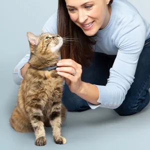 Seresto Flea and Tick Collar for Cats, 8-Month Flea and Tick Collar for Cats 1-Pack Cat Only - Seresto