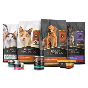 Purina Pro Plan High Protein Wet Puppy Food (Packaging May Vary) Chicken & Rice (12) 13 oz. Cans - image