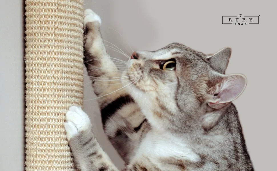 7 Ruby Road Wall Mounted Cat Scratching Post - Wall Mount Wooden Sisal Cat Scratcher & Vertical Scratch Pad (Replaceable) - Modern Cat Wall Furniture for Indoor Cats or Kittens (29.5 x 6 in) - wall mounted cat scratcher