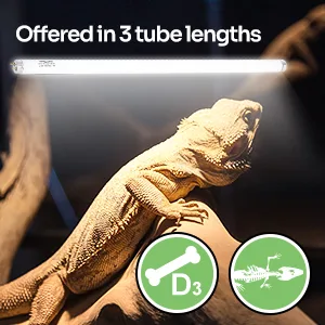 REPTI ZOO T5 HO UVB Lighting Combo Kit, Terrarium Hood Comes with Desert 10.0 UVB T5 Lamp (24W) 24.0 Watts - AT28-4