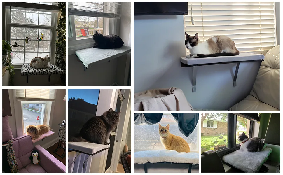 Sweetgo Cat Window Perch-Mounted Shelf Bed for cat-Funny Sleep DIY Kitty Sill Window Perch- Washable Foam Cat Seat Grey - product information 12