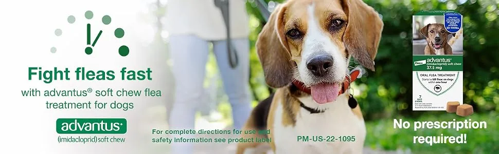 Advantus (Imidacloprid) 30-Count Chewable Flea Treatment for Large Dogs between 23-110 Pounds, 37.5mg - advantus