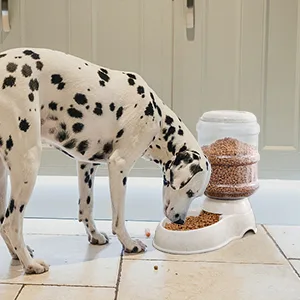 2 Pack Automatic Cat Feeder and Water Dispenser in Set with Pet Food Mat for Small Medium Dog Pets Puppy Kitten Big Capacity 1 Gallon x 2 2 Pack Cream - cat Automatic feeder