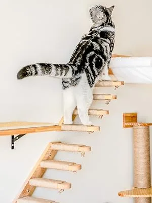 FUKUMARU Cat Climbing Shelf Wall Mounted, Four Step Cat Stairway with Jute Scratching for Cats Perch Platform Supplies Left to Right - Four Step Cat Stairway
