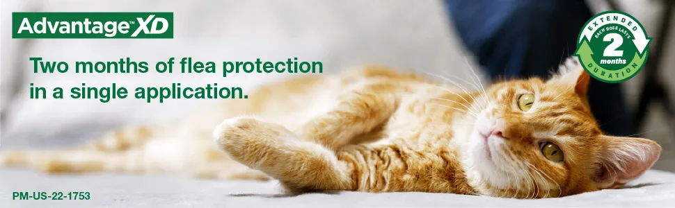 Advantage XD Long-Lasting Flea Prevention & Treatment for Small Cats (1.8-9 lbs) 2 Pack - Advantage XD