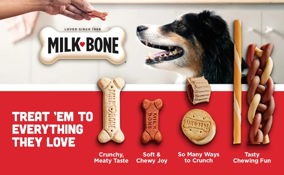 Milk-Bone Original Dog Treat Biscuits, Crunchy Texture Helps Clean Teeth Medium 10 Pound (Pack of 1) - module 1