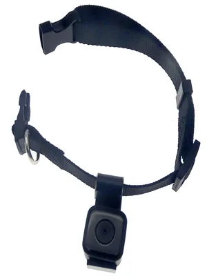 Digital Pet Collar Cam Camera DVR Video Recorder Monitor for Dog Cat Puppy - camera attached to collar
