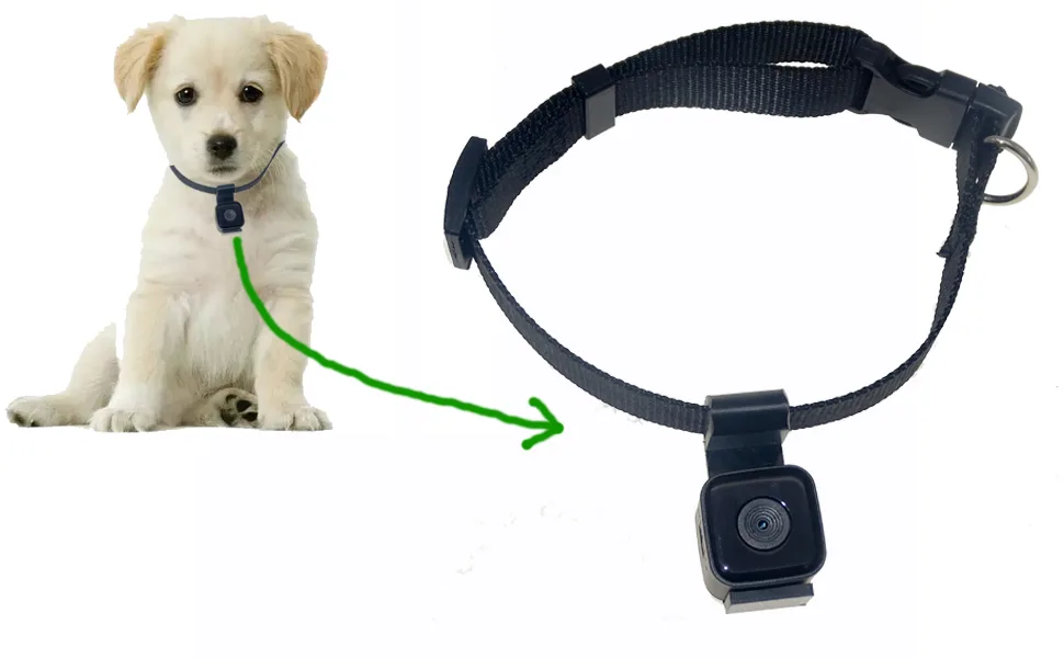 Digital Pet Collar Cam Camera DVR Video Recorder Monitor for Dog Cat Puppy - pet collar camera for dog cat tracking video recorder
