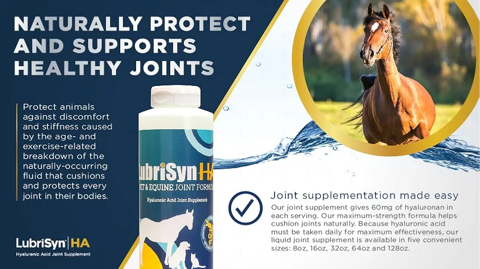LubriSyn Joint Supplement for Canine & Equine 16-Ounce - product information 2