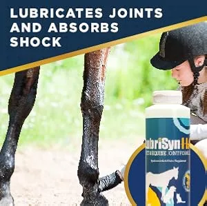 LubriSyn Joint Supplement for Canine & Equine 16-Ounce - product information 3