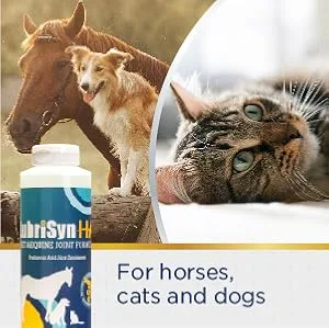 LubriSyn Joint Supplement for Canine & Equine 16-Ounce - product information 4