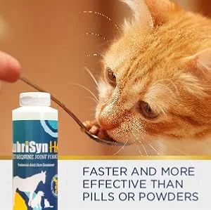 LubriSyn Joint Supplement for Canine & Equine 16-Ounce - product information 6
