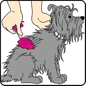 No Buzz Clipper + Dematting Comb by Scaredy Cut Silent Home Pet Grooming Kit, Blue, Right-Handed - product information 3