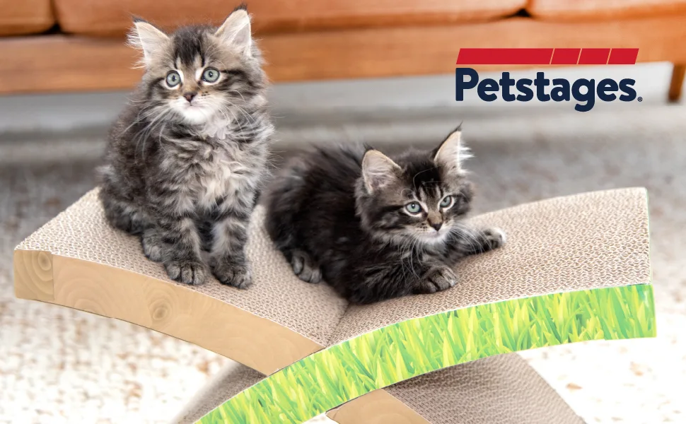 Petstages Cardboard Cat Scratchers - Cat Scratcher Lounge and Cat Games Easy Life Lounge - image
