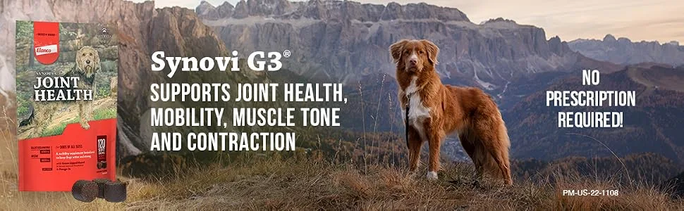 Synovi G3 Soft Chews Glucosamine Joint Supplement for Dogs, 120 count - synovi