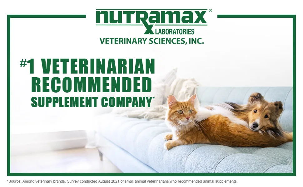 Nutramax Laboratories Dasuquin with MSM Soft Chews 84 Count Small/Medium Dog (Under 60 lbs) - Dasuquin from Nutramax Laboratories Vet Sciences, the #1 Veterinarian Recommended Supplement Company