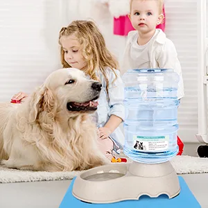 Automatic Cat Water Dispenser with Pet Food Mat for Small Medium Dog Pets Puppy Kitten Big Capacity 1.5 Gallon grey - Automatic cat feeder