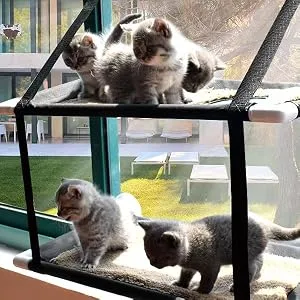 Oceskyha Cat Window Perch, Cat Hammock Window , Free Fleece Blanket Extra Large Sturdy Cat Bed Cat Resting Seat Space Saving for Indoor Double-layer Flannel - product information 5
