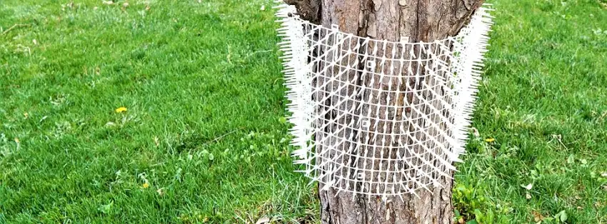 Ultragica Cat Scat Roll - Dog Scat Roll - Plastic Pet Training Mat -Keep Dogs Off Couch - Cat Spike Mat - Cat Deterrent 13 Feet - product information 7