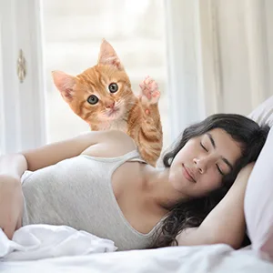 Chintu Automatic Cat Feeder Auto Cat Food Dispenser - Portion Control Pet Dry Food Dispenser for Small Dog, Programmable Timed Smart Cat Feeder with Voice Reminder Time Interval - chintu