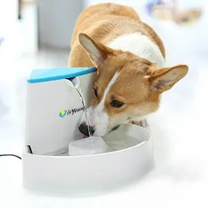isYoung Pet Fountain, 84oz/2.5L Automatic Cat Fountain Dog Water Dispenser for Cats, Dogs - isyoung
