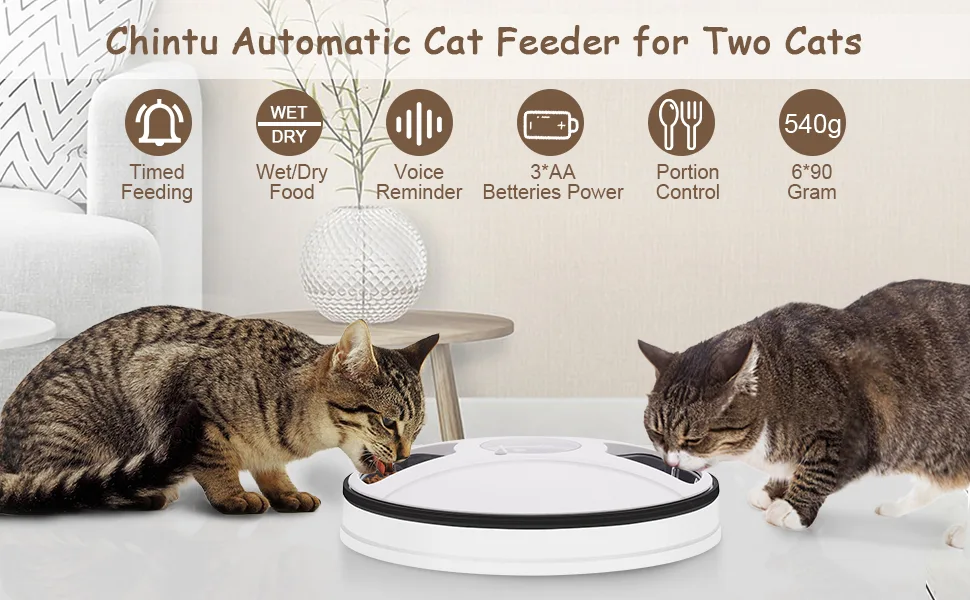 Chintu Automatic Cat Feeder Timed Cat Feeder for Two Cats - 3 Meals Portion Control Auto Pet Cat Food Dispenser for Small Dog, Auto Cat Feeder with Programmable Timer and Voice Reminder - Automatic cat feeders for two cats