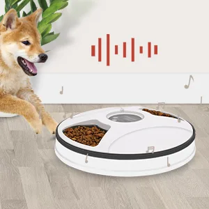 Chintu Automatic Cat Feeder Timed Cat Feeder for Two Cats - 3 Meals Portion Control Auto Pet Cat Food Dispenser for Small Dog, Auto Cat Feeder with Programmable Timer and Voice Reminder - Built in Voice Reminder