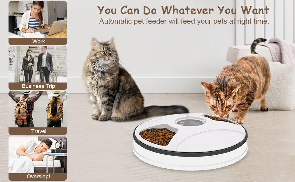 Chintu Automatic Cat Feeder Timed Cat Feeder for Two Cats - 3 Meals Portion Control Auto Pet Cat Food Dispenser for Small Dog, Auto Cat Feeder with Programmable Timer and Voice Reminder - Flexible time feeding